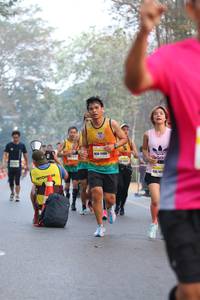 BIB: 1166, 101
                            <button type="button" onclick="openModal(10411025)" class="btn btn-primary btn-sm float-right btn-popup" data-toggle="modal" data-target=".modal-high-quality">
                        <i class="fas fa-shopping-cart"></i> Add to Cart
                    </button>
                                            <button type="button" onclick="isThisMe(10411025, true)" class="btn btn-success btn-sm float-right btn-popup btn-isme hidden" data-toggle="tooltip" data-placement="bottom" title="นี่คือรูปของคุณใช่ไหม คลิกที่นี่เพื่อเอาเข้าอัลบั้ม">
                        <i class="fas fa-plus"></i> Add to album
                    </button>
                    <button type="button" onclick="isThisMe(10411025, false)" class="btn btn-warning btn-sm float-right btn-popup btn-isnotme hidden">
                        <i class="fas fa-ban"></i> Remove from album
                    </button>